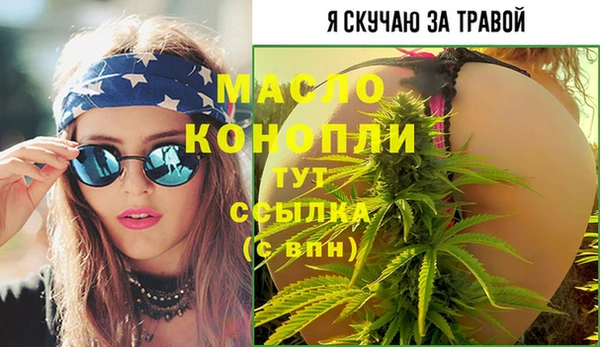 прущие грибы Медвежьегорск