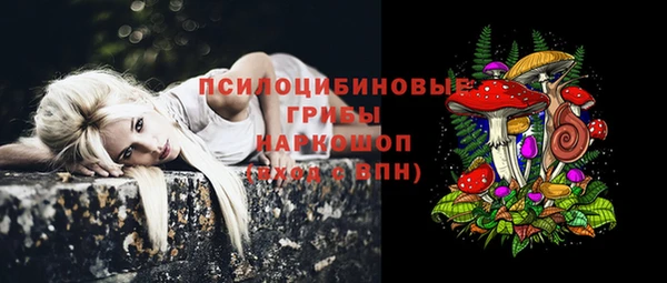 эйфоретик Мегион