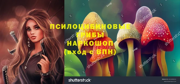 тгк Медногорск