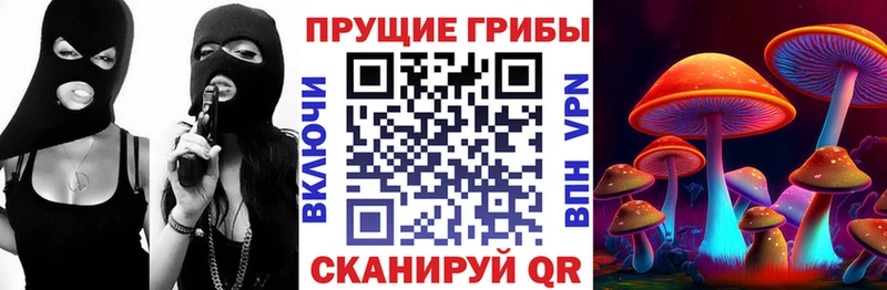 Псилоцибиновые грибы ЛСД  дарнет шоп  Шлиссельбург 